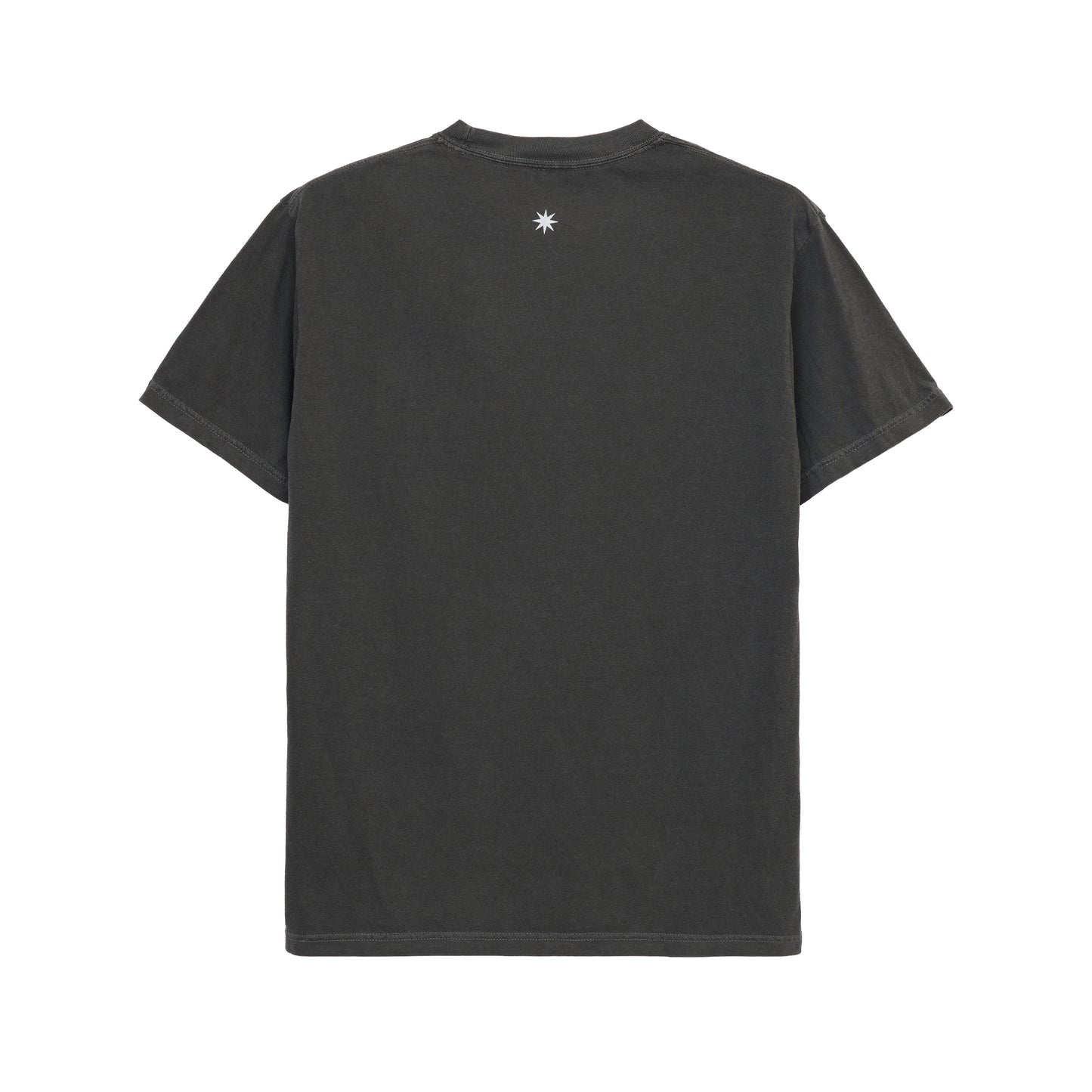 standing bear T