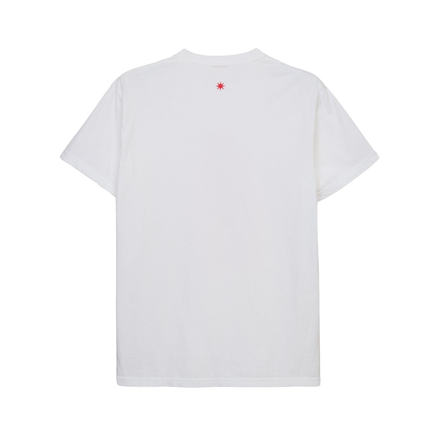 standing bear T