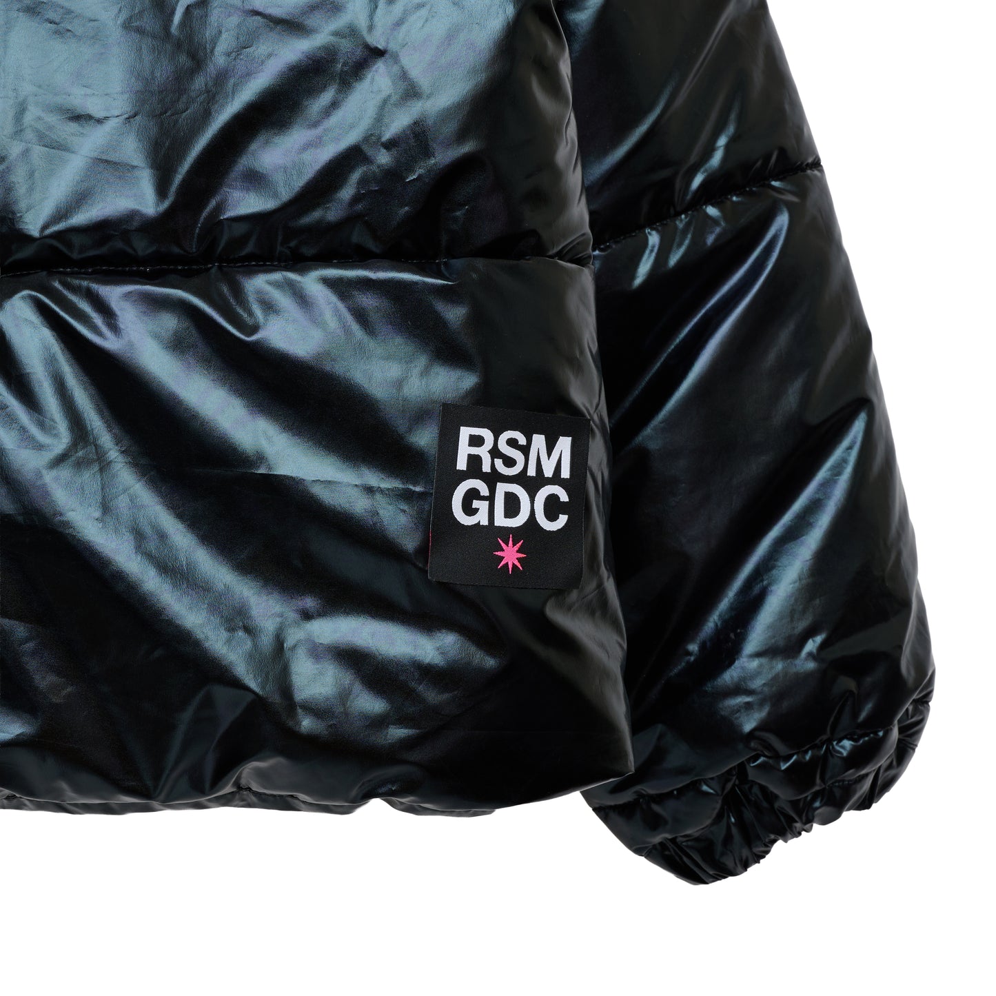 【RIP SLYME X GDC】down jacket