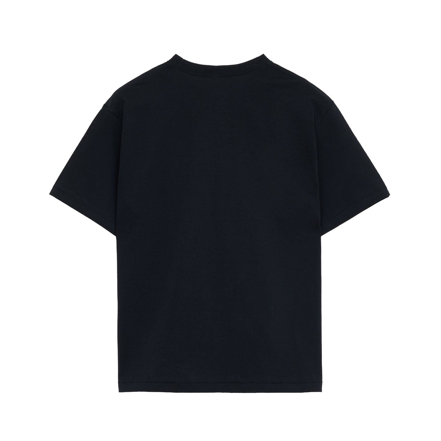 GDC CLASSICS Tee