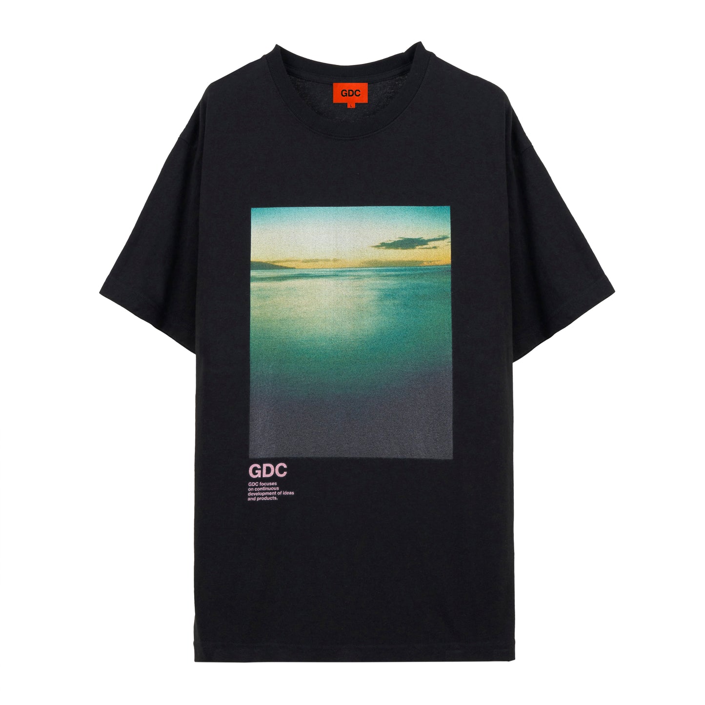 graphic T-shhits1