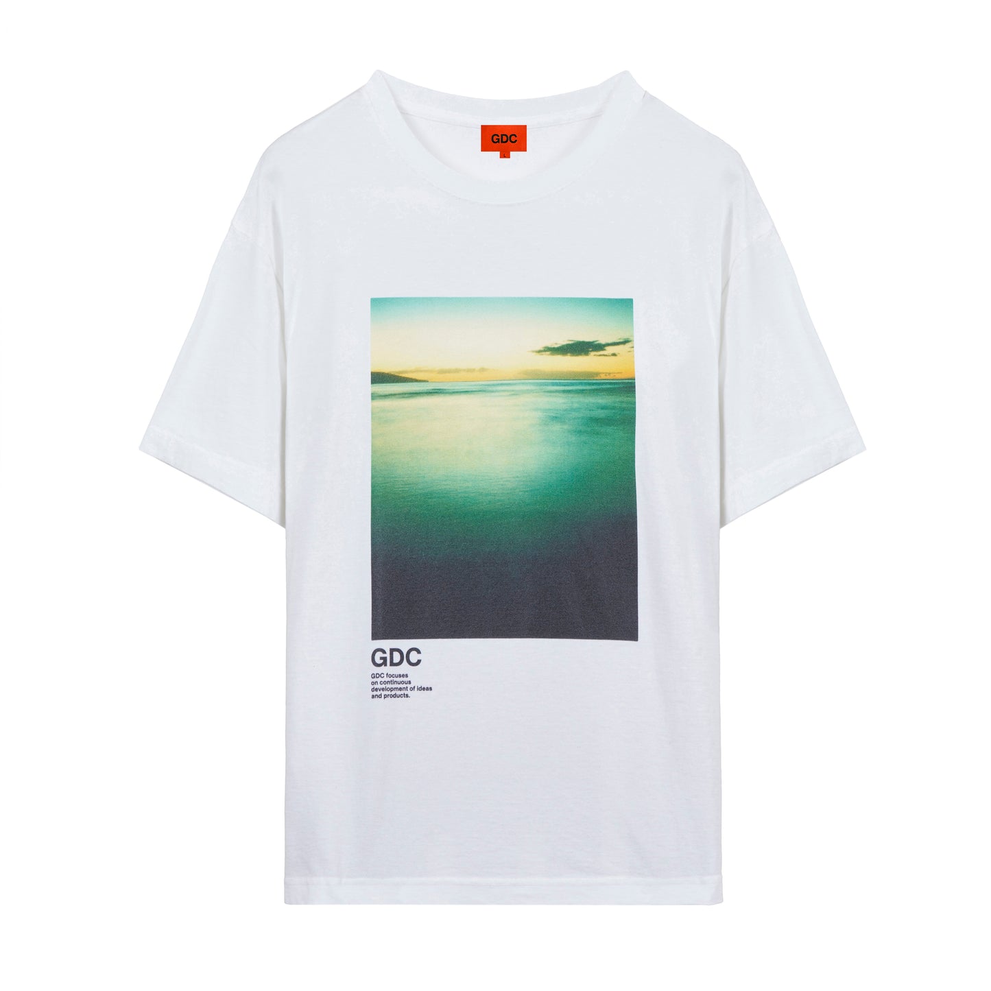 graphic T-shhits1