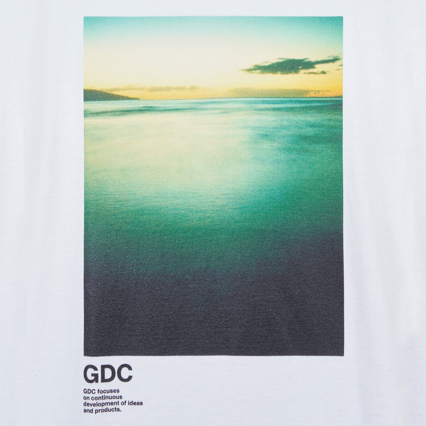 graphic T-shhits1
