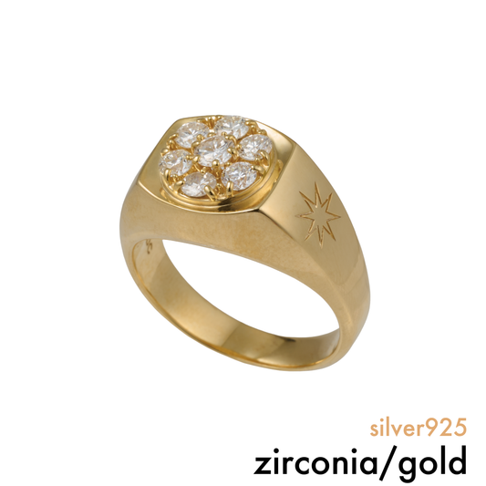 diamond memory ring (zirconia / gold)