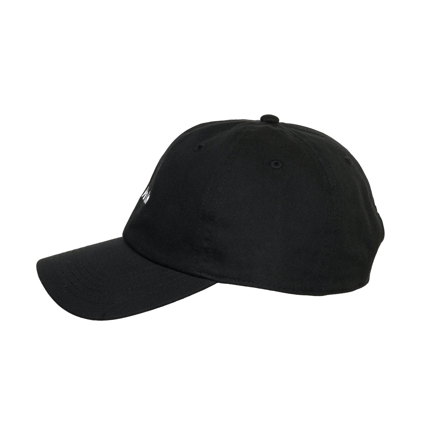 KINSKI  logo cap