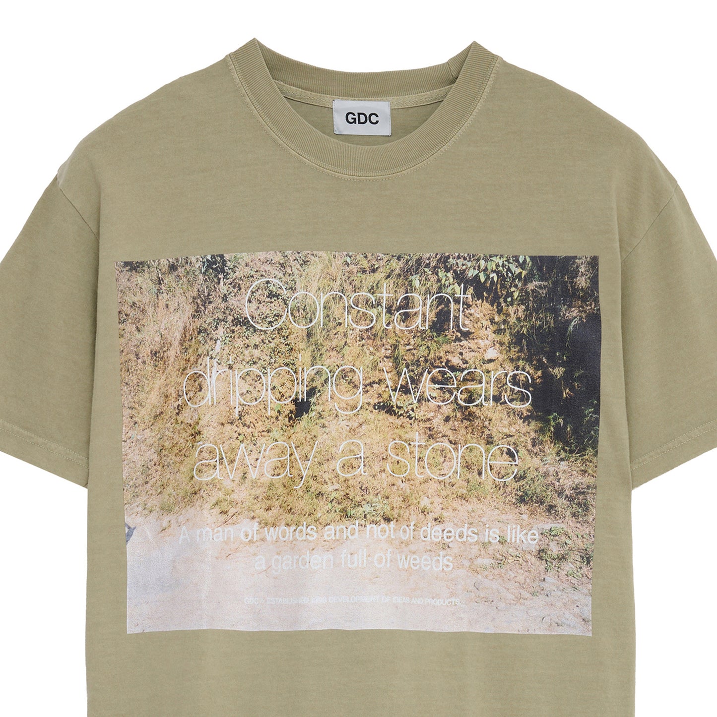 Photo Tee | KHAKI
