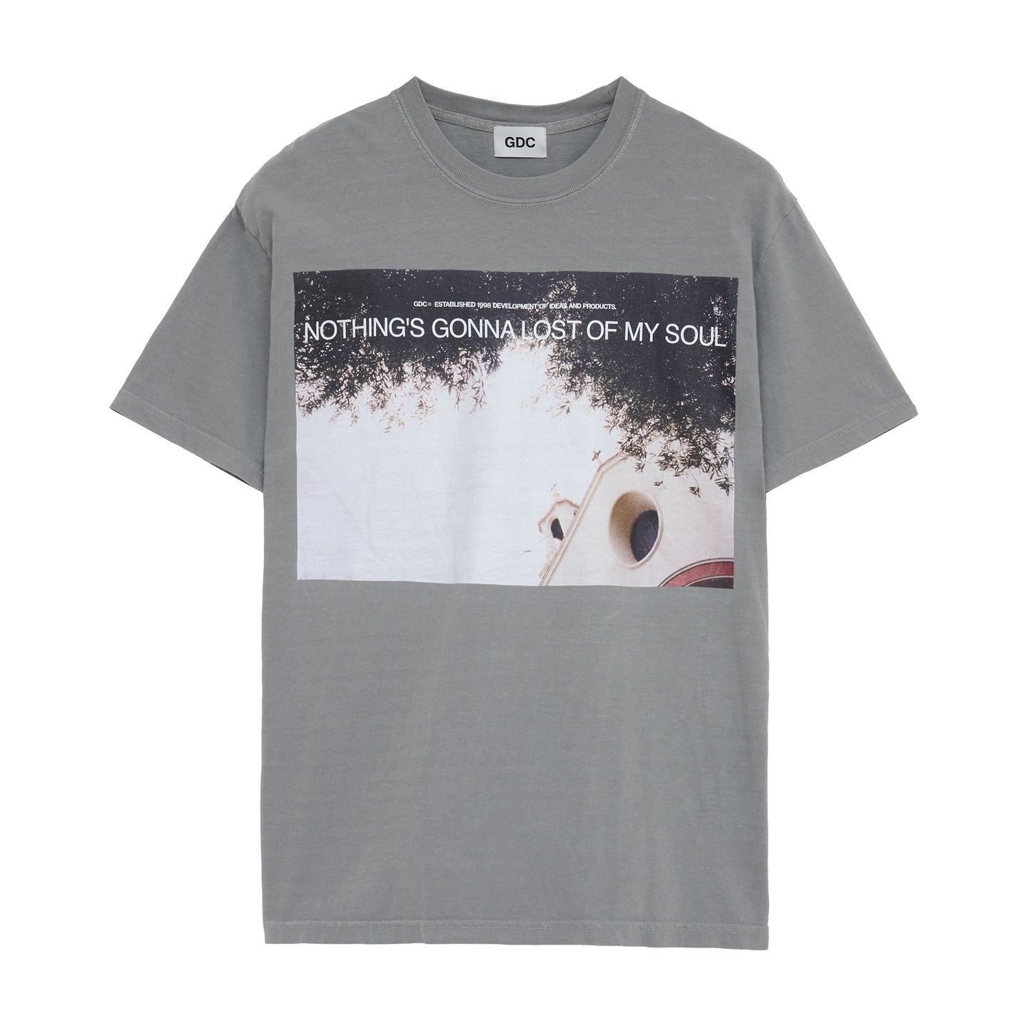 Photo Tee | GRAY