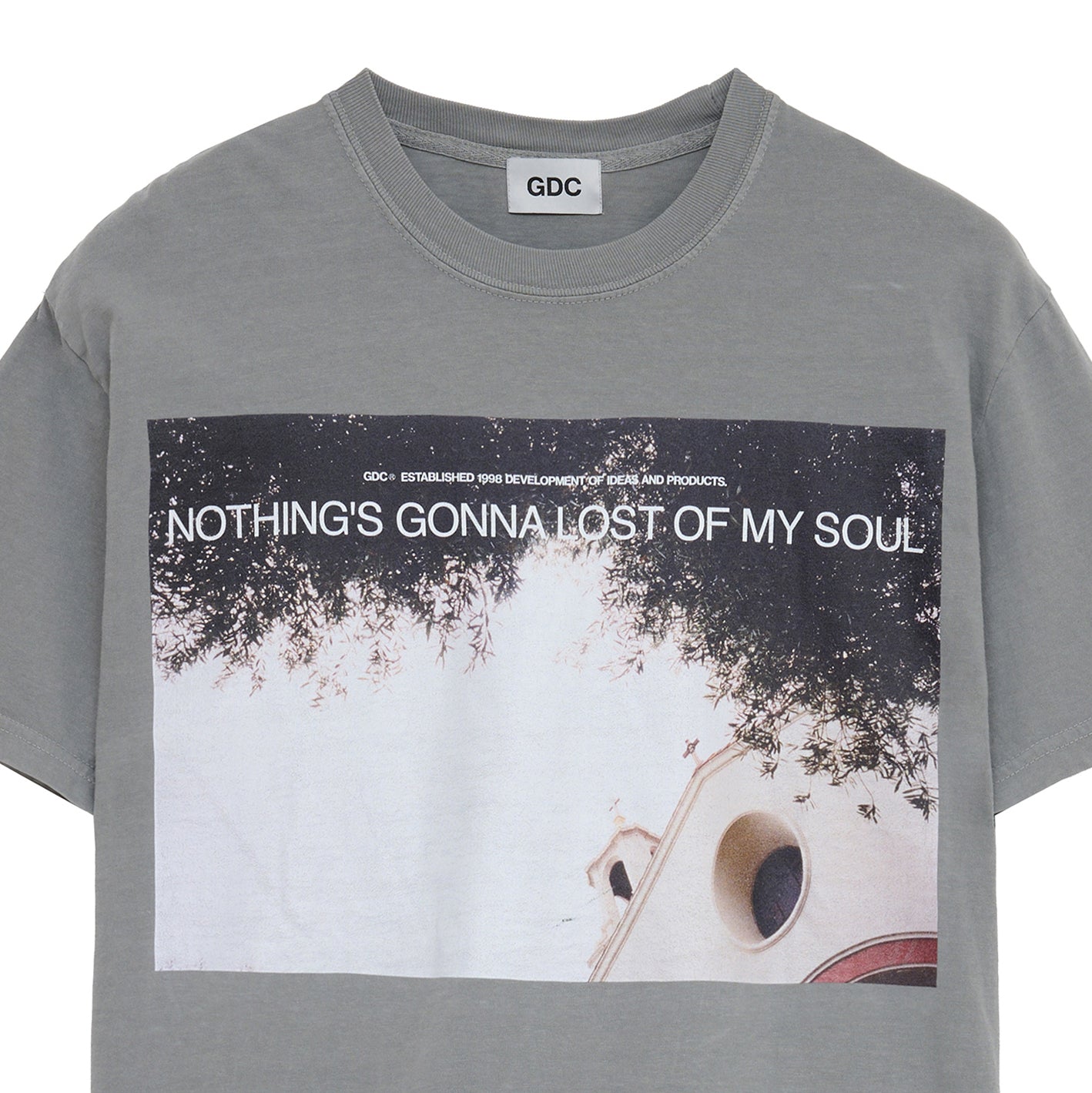 Photo Tee | GRAY