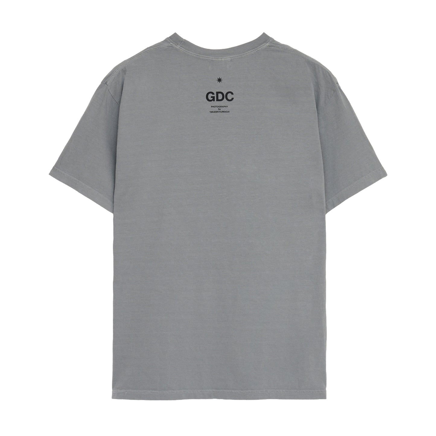 Photo Tee | GRAY