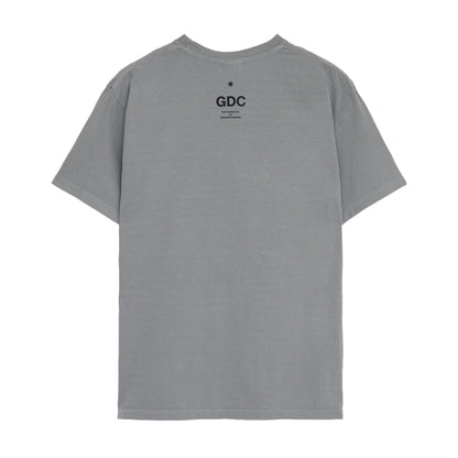 Photo Tee | GRAY