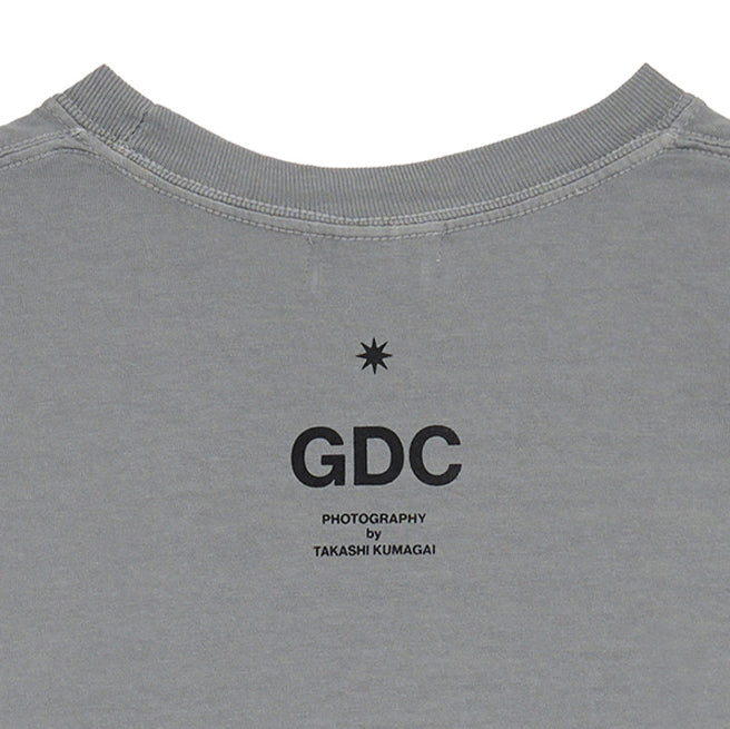 Photo Tee | GRAY