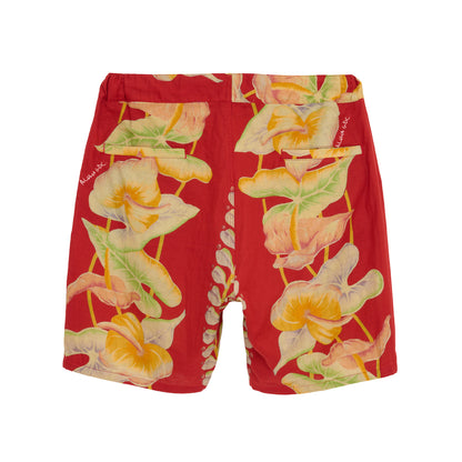 Aloha Shorts