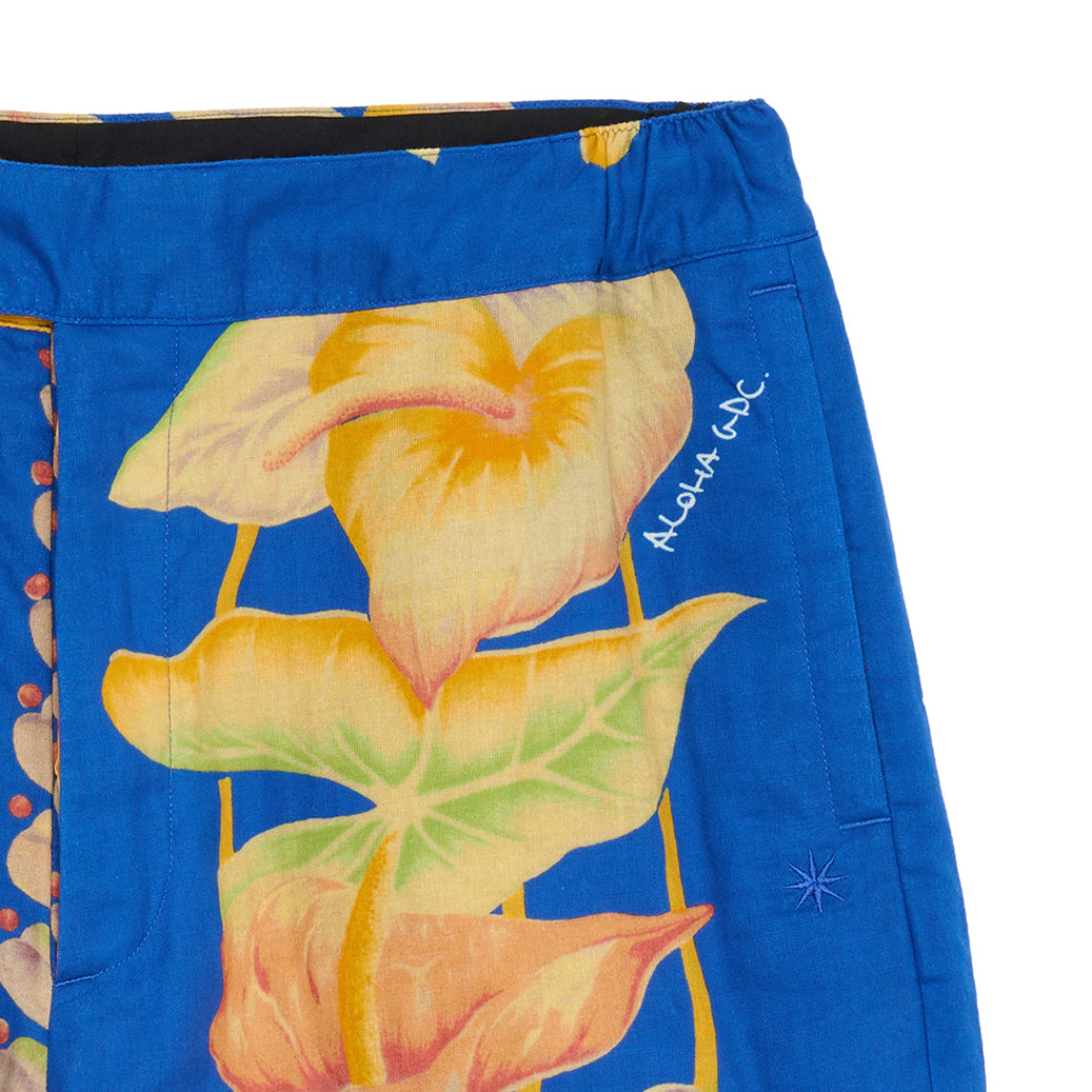 Aloha Shorts