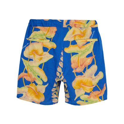Aloha Shorts