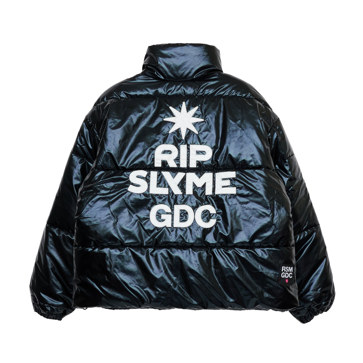 【RIP SLYME X GDC】down jacket