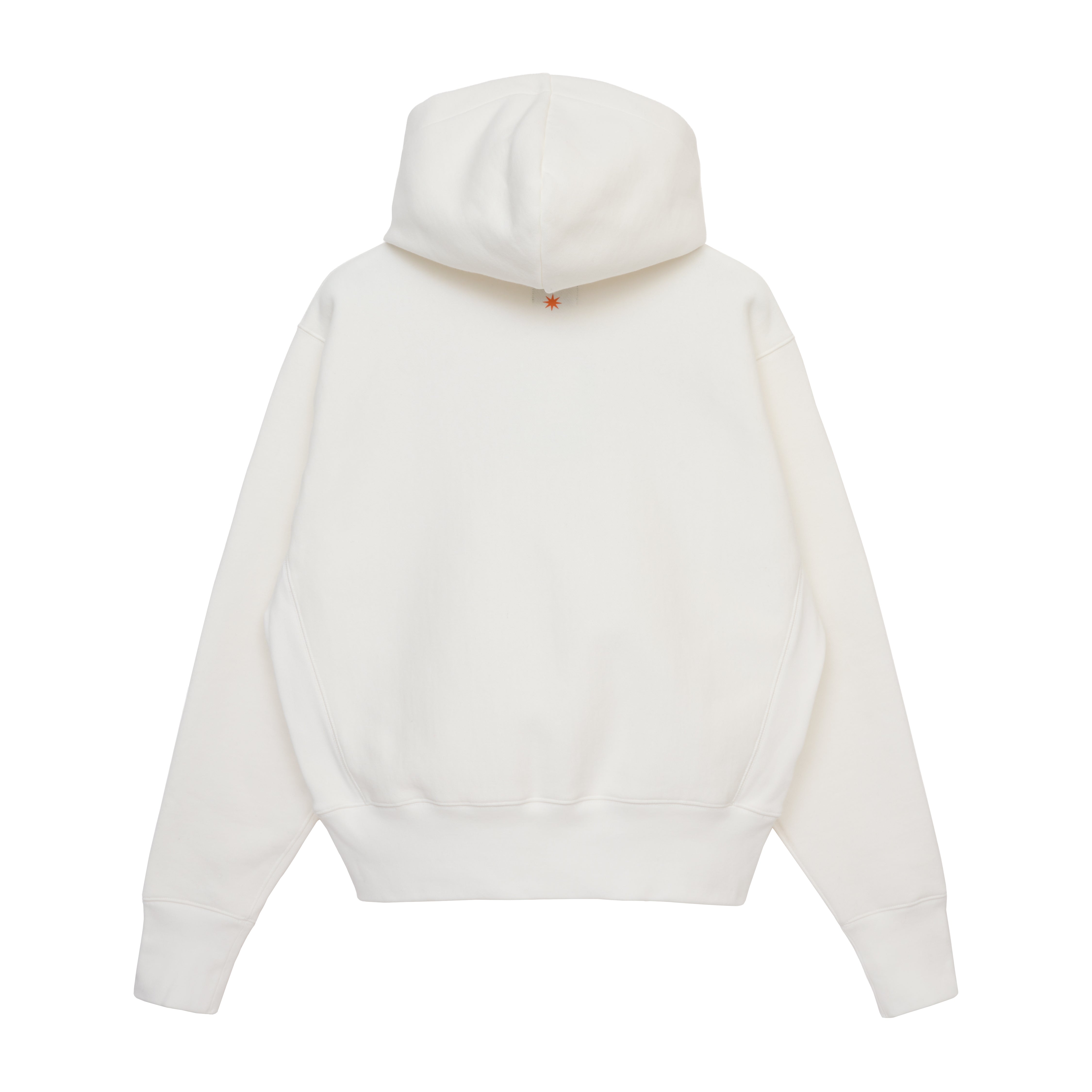 GDC WING hoodie