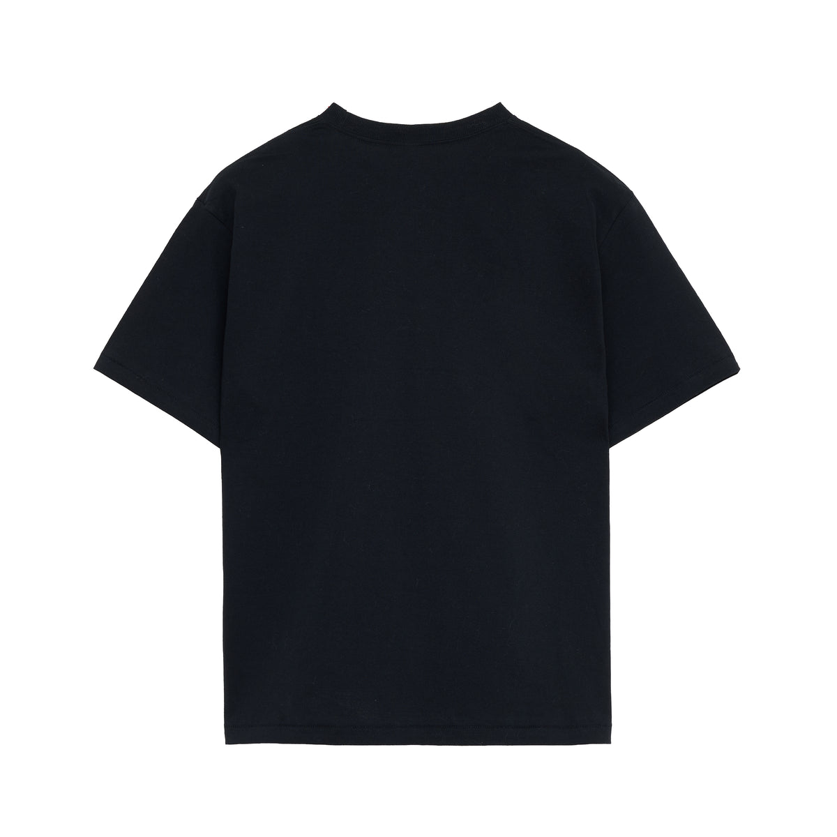 GDC CLASSICS Tee