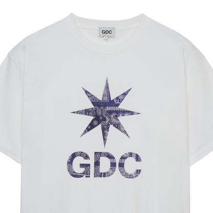 【MIYAGI HIDETAKA×GDC】Tee