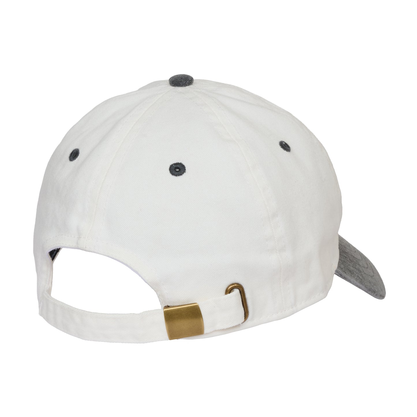 【NAIJEL GRAPH×GDC】Logo Cap