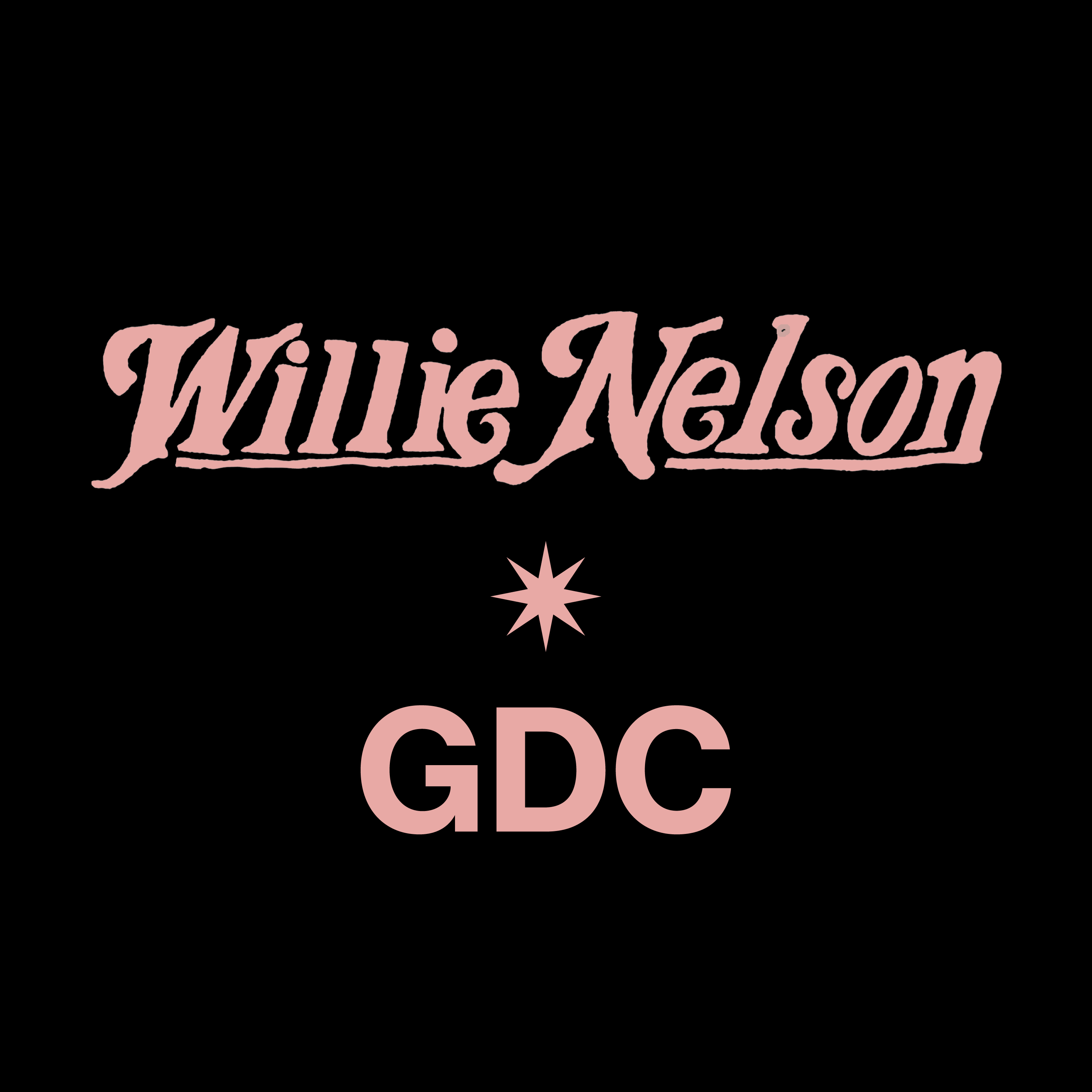 GDC グランドキャニオン フロントプリント フーディー ダウンジャケット GDC - GDC グランドキャニオン ダウンジャケット Sサイズの通販 by EX